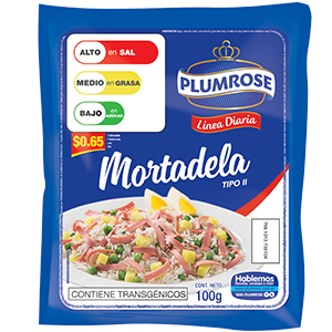 MORTADELA LINEA DIARIA 100G P